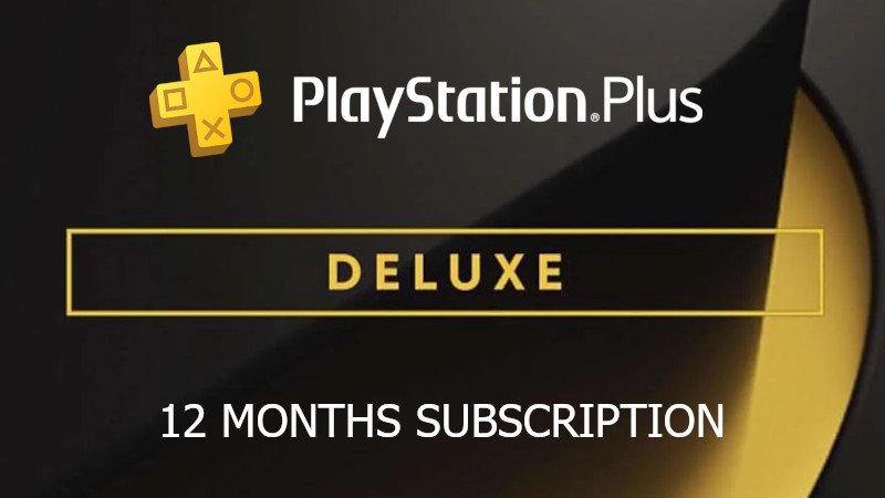 Plus Deluxe 12 Months